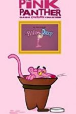 Watch Pink Daddy Myflixer