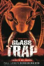Watch Glass Trap Myflixer