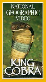 Watch King Cobra Myflixer