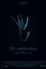 Watch The Hunchback Myflixer