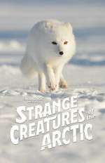 Watch Strange Creatures of the Arctic (TV Special 2022) Myflixer