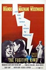 Watch The Fugitive Kind Myflixer