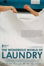 Watch The Laundromat Myflixer