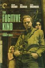 Watch The Fugitive Kind Myflixer