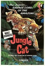 Watch Jungle Cat Myflixer