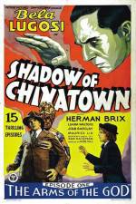 Watch Shadow of Chinatown Myflixer