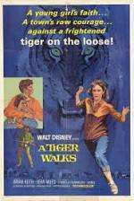 Watch A Tiger Walks Myflixer