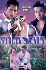 Watch Stray Cats Myflixer