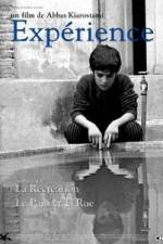 Watch The Experience Myflixer