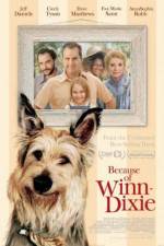 Watch Because of Winn-Dixie Myflixer