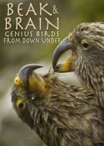 Watch Beak & Brain - Genius Birds from Down Under Myflixer