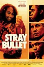 Watch Stray Bullet Myflixer