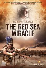 Watch Patterns of Evidence: The Red Sea Miracle Myflixer
