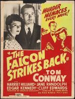 Watch The Falcon Strikes Back Myflixer