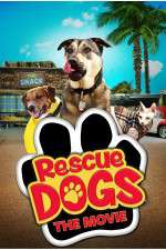 Watch Rescue Dogs Myflixer