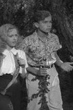 Watch Star Reporter Myflixer