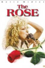 Watch The Rose Myflixer