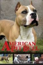 Watch American Pit Bull Myflixer