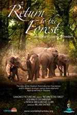 Watch Return to the Forest Myflixer