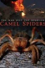 Watch Camel Spiders Myflixer