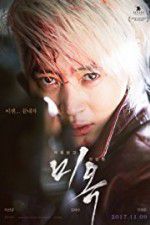 Watch A Special Lady Myflixer