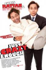 Watch Just Crazy Enough Myflixer