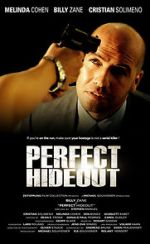 Watch Perfect Hideout Myflixer