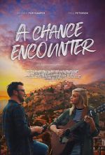 Watch A Chance Encounter Myflixer