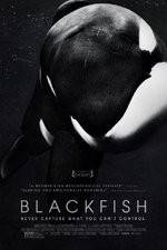 Watch Blackfish Myflixer