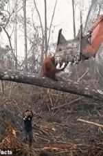 Watch Climate Change: The Facts Myflixer