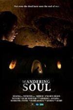 Watch Wandering Soul Myflixer
