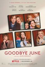 Watch Goodbye June Myflixer