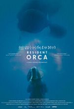 Watch Resident Orca Myflixer