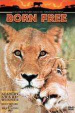 Watch Born Free Myflixer