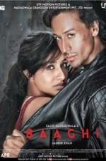 Watch Baaghi Myflixer
