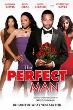 Watch The Perfect Man Myflixer