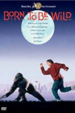 Watch Born to Be Wild Myflixer