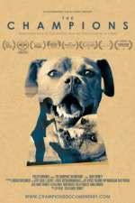 Watch The Champions Myflixer