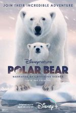 Watch Polar Bear Myflixer
