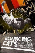 Watch Bouncing Cats Myflixer