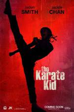 Watch The Karate Kid Myflixer