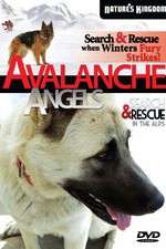 Watch Avalanche Angels Myflixer