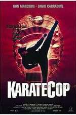 Watch Karate Cop Myflixer