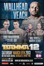 Watch BAMMA 12: Wallhead vs Veach Myflixer