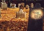 Watch The Day They Died Myflixer
