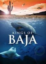 Watch Kings of Baja Myflixer