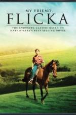 Watch My Friend Flicka Myflixer
