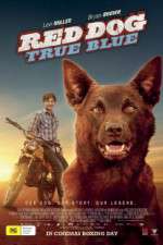 Watch Red Dog True Blue Myflixer