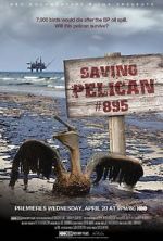 Watch Saving Pelican 895 (Short 2011) Myflixer