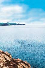 Watch Intent Myflixer